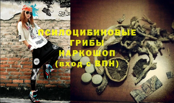 а пвп мука Усинск