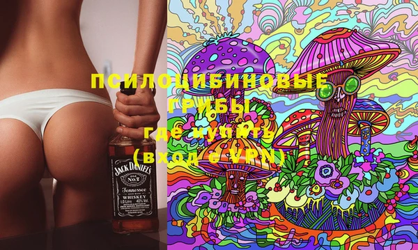 PSILOCYBIN Дмитров