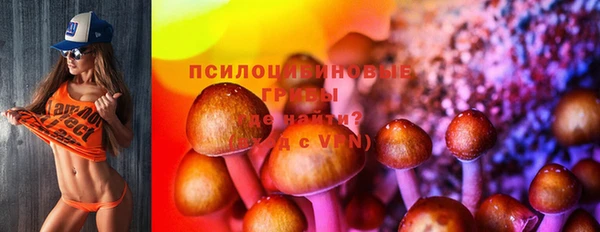 тгк Разумное