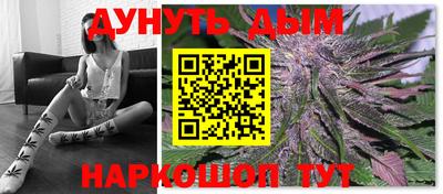 jwh Бийск