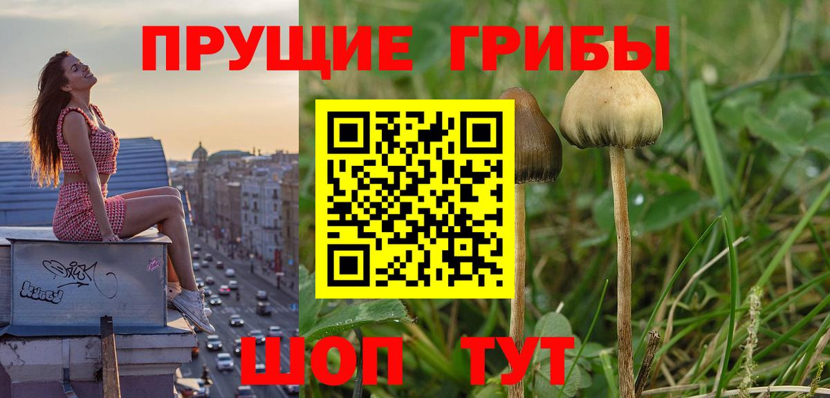 Аксай  Галлюциногенные грибы мухоморы  Псилоцибиновые грибы Psilocybine cubensis  Вход с VPN 
