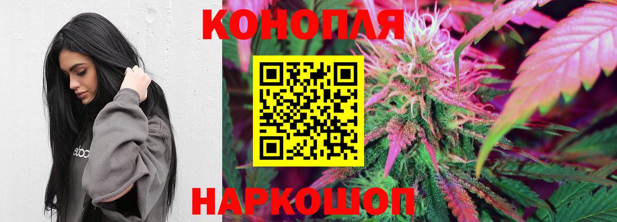 Шишки марихуана конопля Аксай